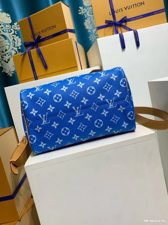 AAA Pruses Bags Louis SPEEDY Vuitton 25 0711